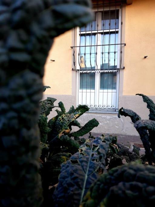 Casasassi Apartman Torino Kültér fotó