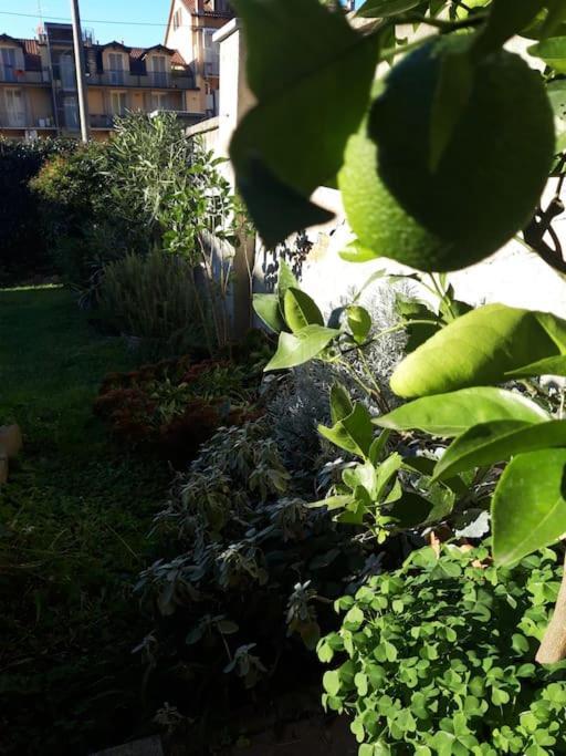 Casasassi Apartman Torino Kültér fotó