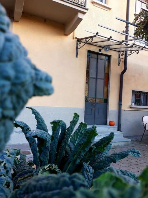 Casasassi Apartman Torino Kültér fotó
